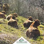 El Tombo La Risa