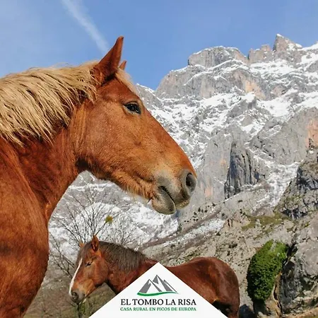 בית כפרי El Tombo La Risa