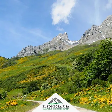 Kır Evi El Tombo La Risa *