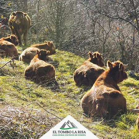 El Tombo La Risa