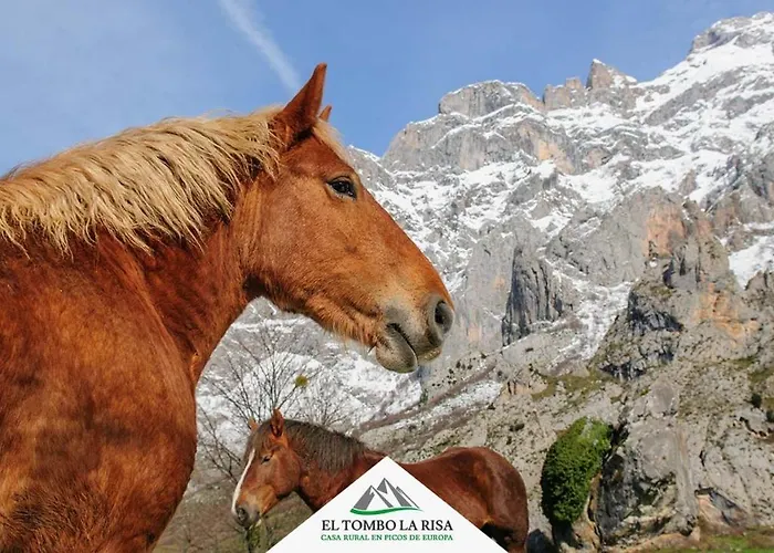 Country house El Tombo La Risa